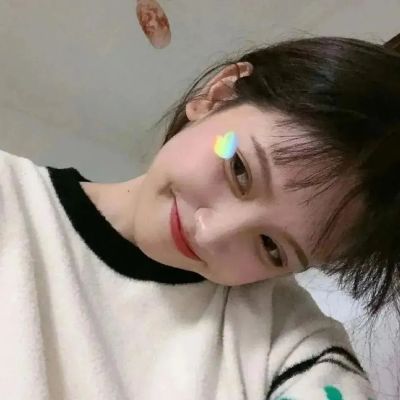警察驾驶模拟器国际服下载